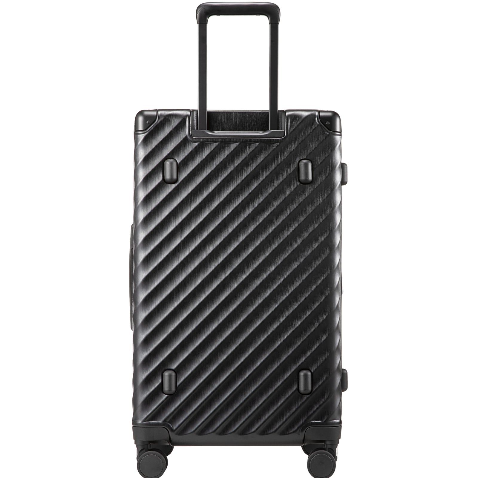 Check-in luggage back view 